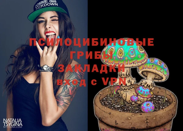 ГАЛЛЮЦИНОГЕННЫЕ ГРИБЫ Алзамай